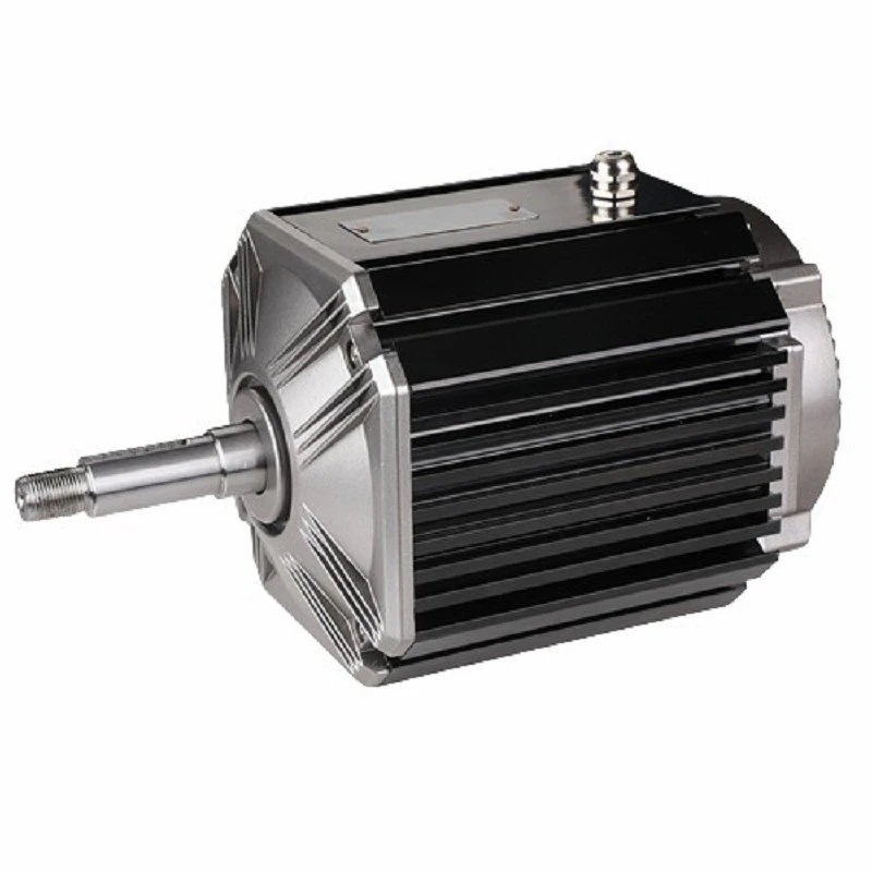 Three Phase Permanent Magnet Motor